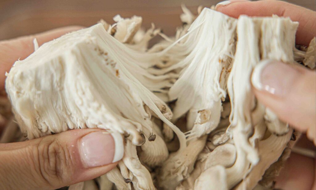 meaty-texture-of-oyster-mushroom