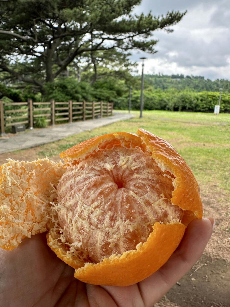 A Big Tasty Half-Peeled Tangerine!