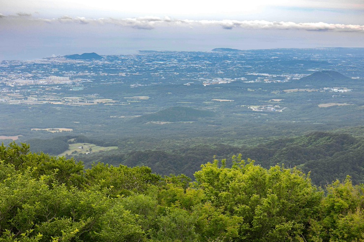 The View atop Hallasan Mountain