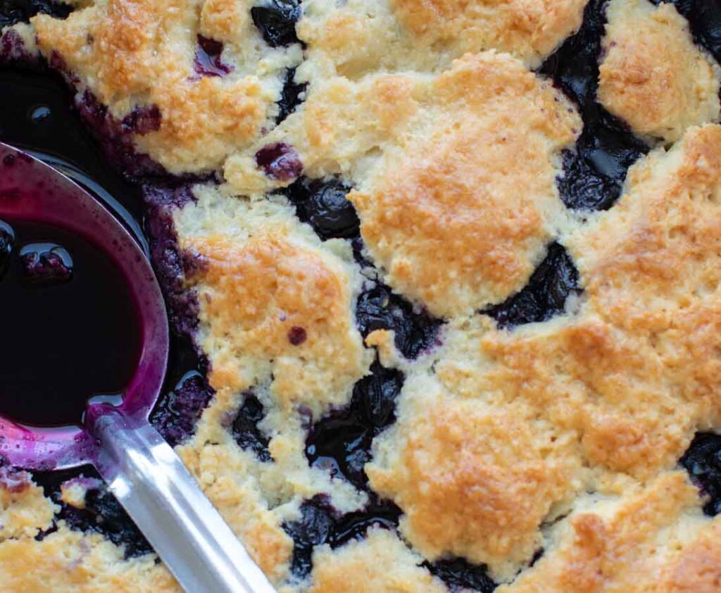 close up of vegan blueberry cobbler