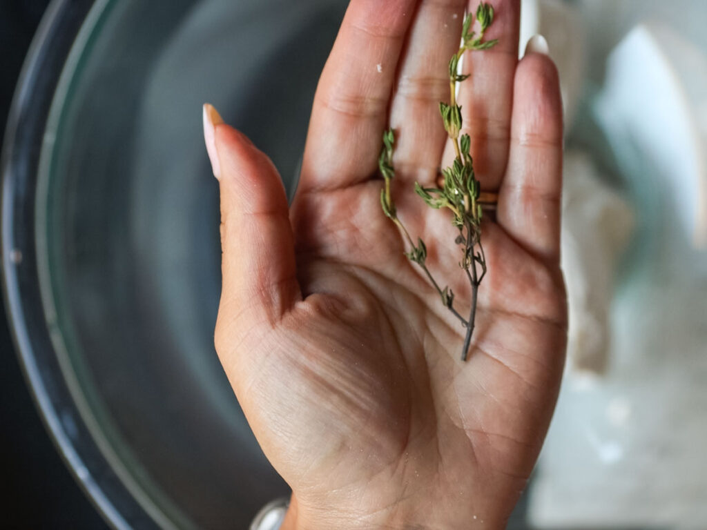 fresh-sprig-of-thyme