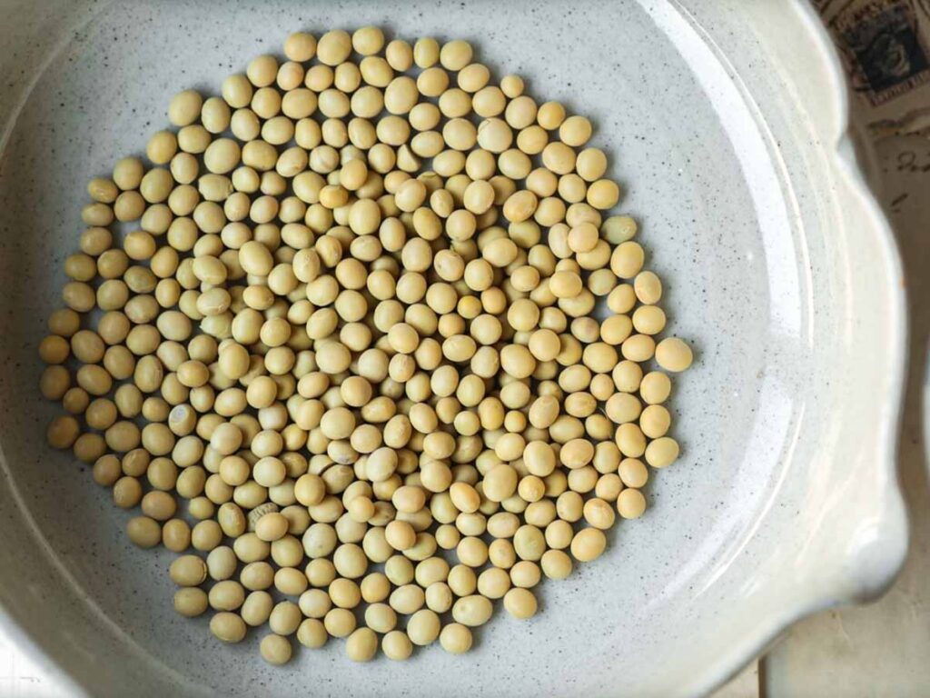 top-down-image-of-dried-soybeans