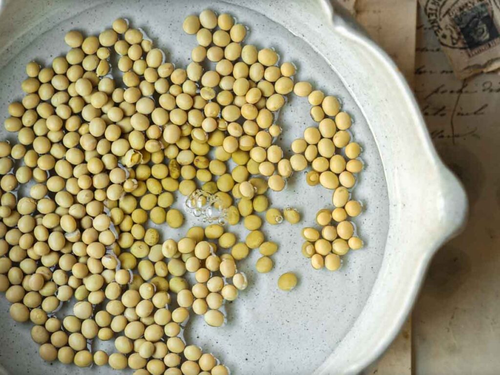 top-down-image-of-soybeans-soaking-in-water.