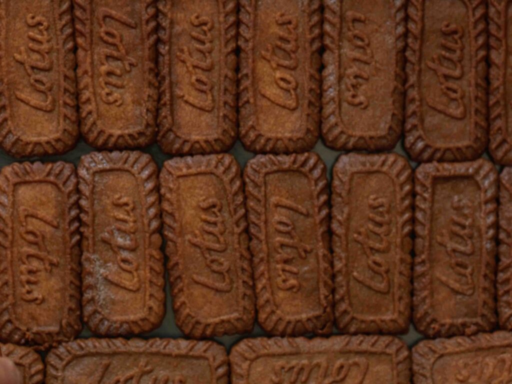 bottom-layer-of-soaked-biscoff-cookies