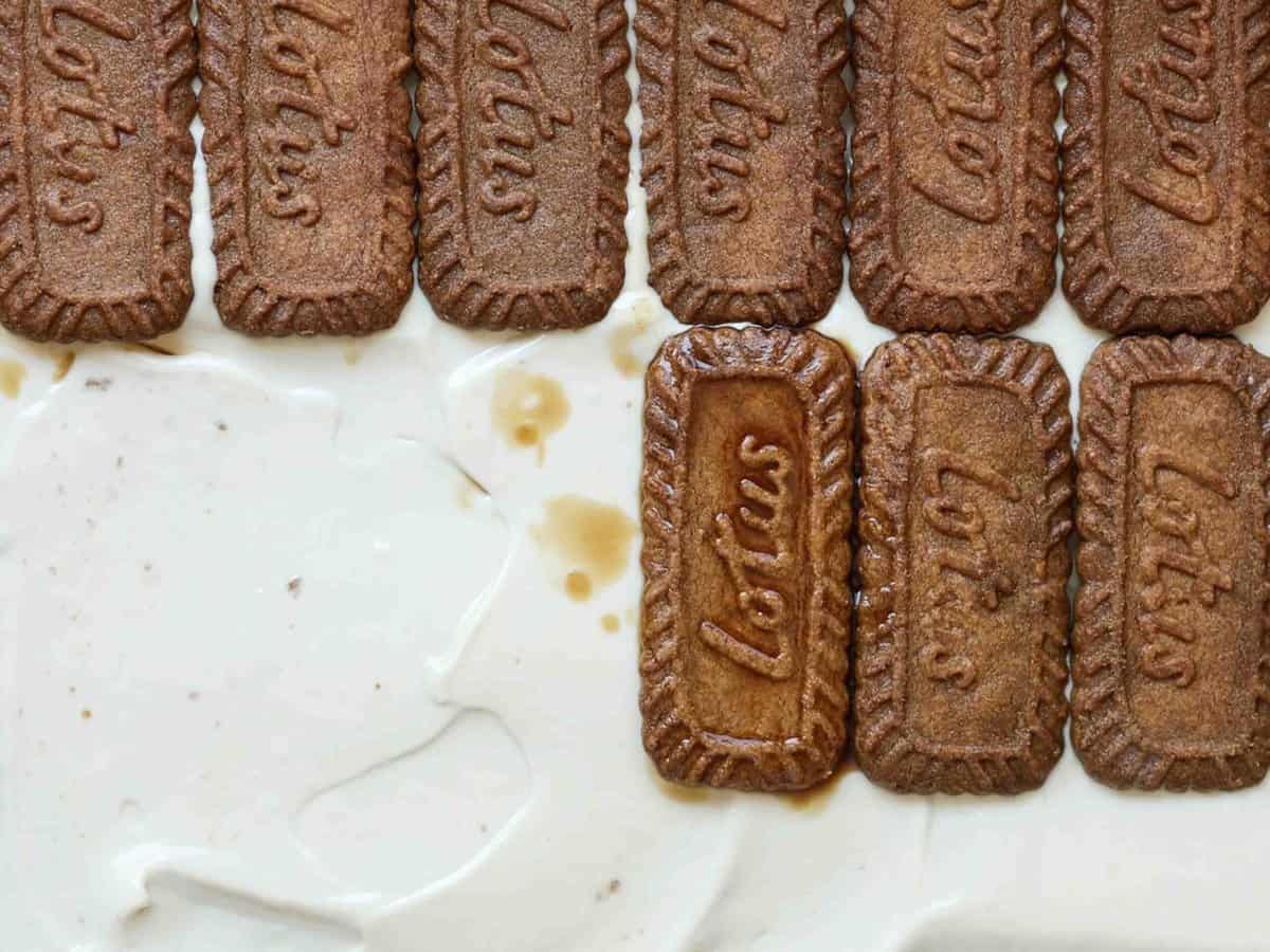 Super Easy and Delicious Vegan Biscoff-Misu.