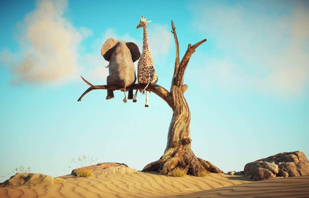 An elephant and a giraffe, like everyday friends, sit together on a branch of a tall, leafless tree, overlooking a sandy landscape beneath the clear blue sky.