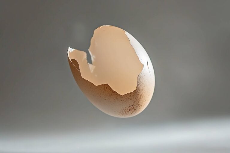 A cracked brown eggshell floats against a blurred gray background, its jagged edges a testament to its fragility.