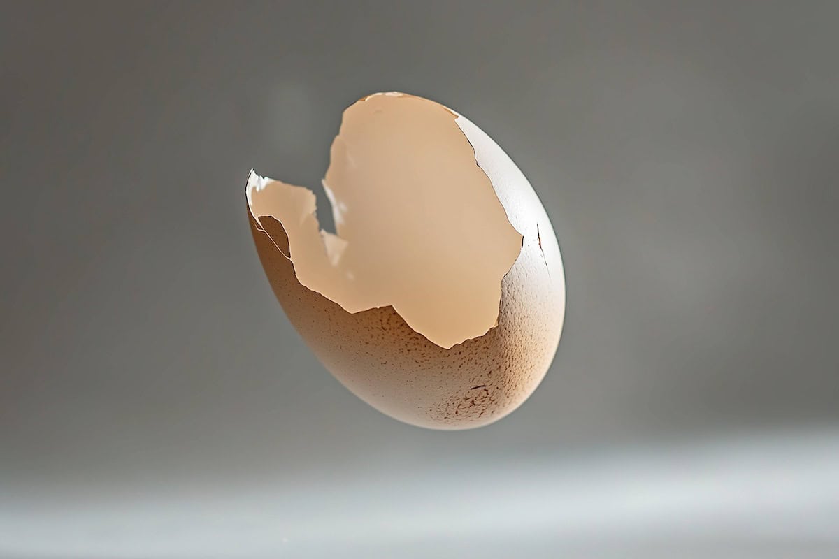 A cracked brown eggshell floats against a blurred gray background, its jagged edges a testament to its fragility.