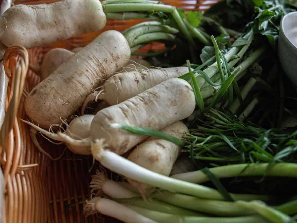 Vegan Ponytail Kimchi aka Chonggak-Kimchi Recipe. 5 A close-up of fresh white radishes with green tops and leafy greens, perfect for making Ponytail Kimchi, arranged in a wicker basket on a table.