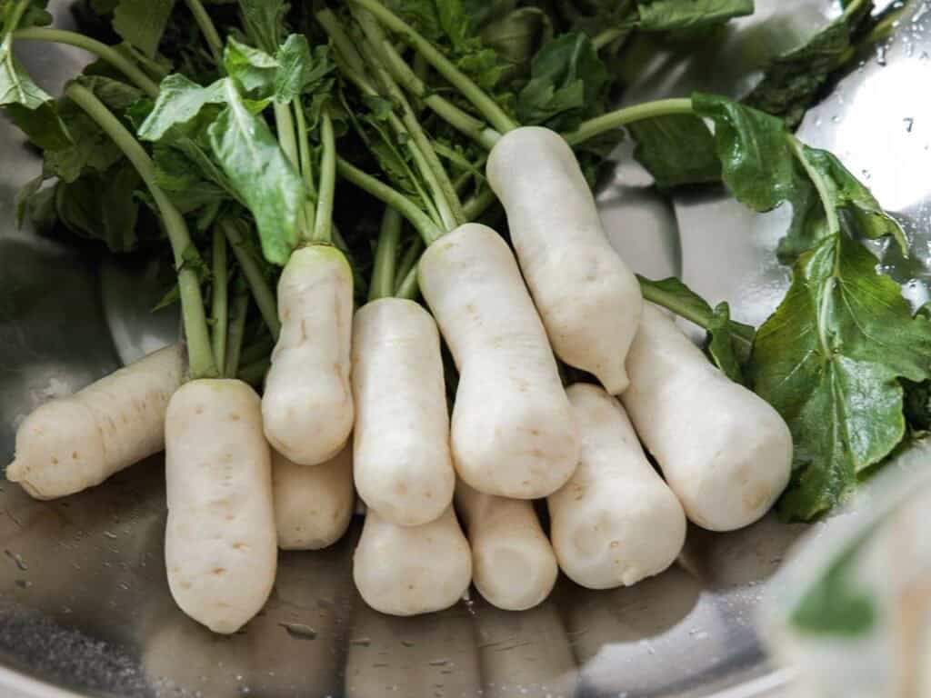 Vegan Ponytail Kimchi aka Chonggak-Kimchi Recipe. 3 A bunch of small, white radishes with green leafy tops, freshly washed and lying in a metal bowl—perfect for making Vegan Ponytail Kimchi or trying a classic Chonggak-Kimchi Recipe.