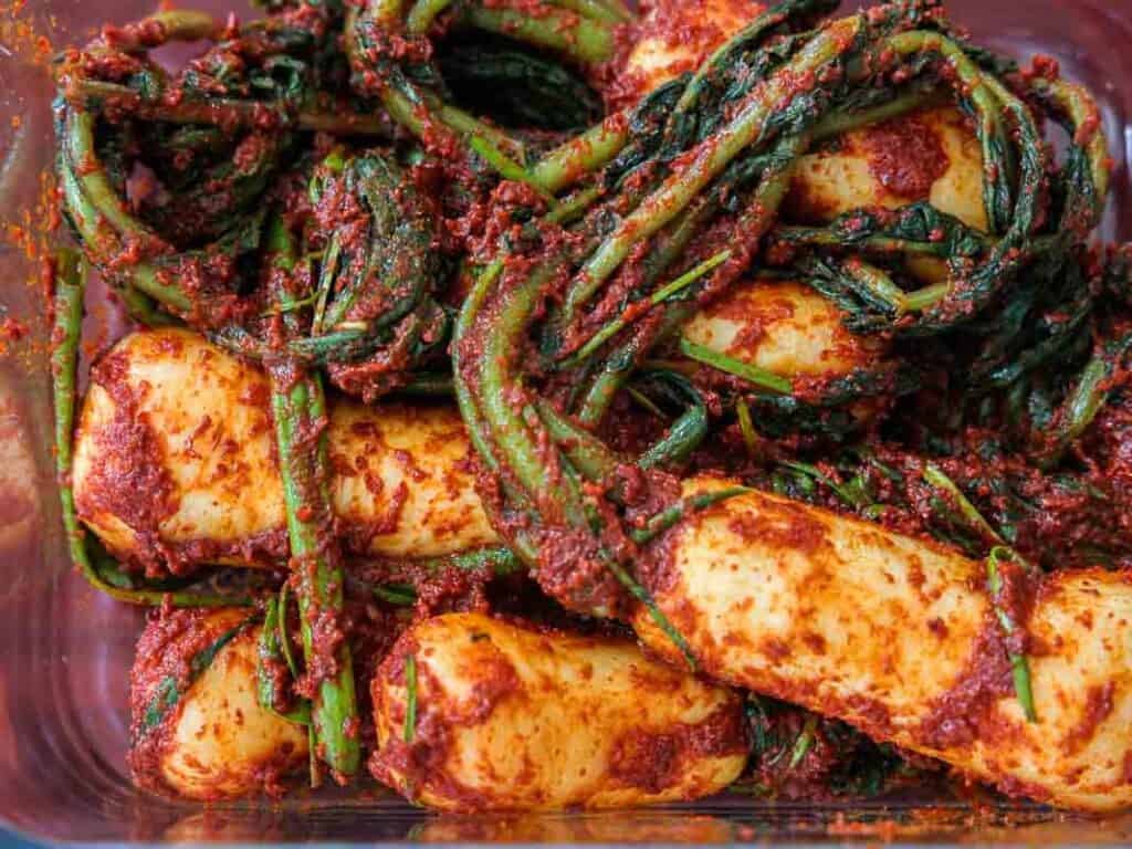 Vegan Ponytail Kimchi aka Chonggak-Kimchi Recipe. 2 A close-up view of freshly made vegan ponytail kimchi, showing whole baby radishes leaves and stalks coated in a vibrant red chili pepper paste.