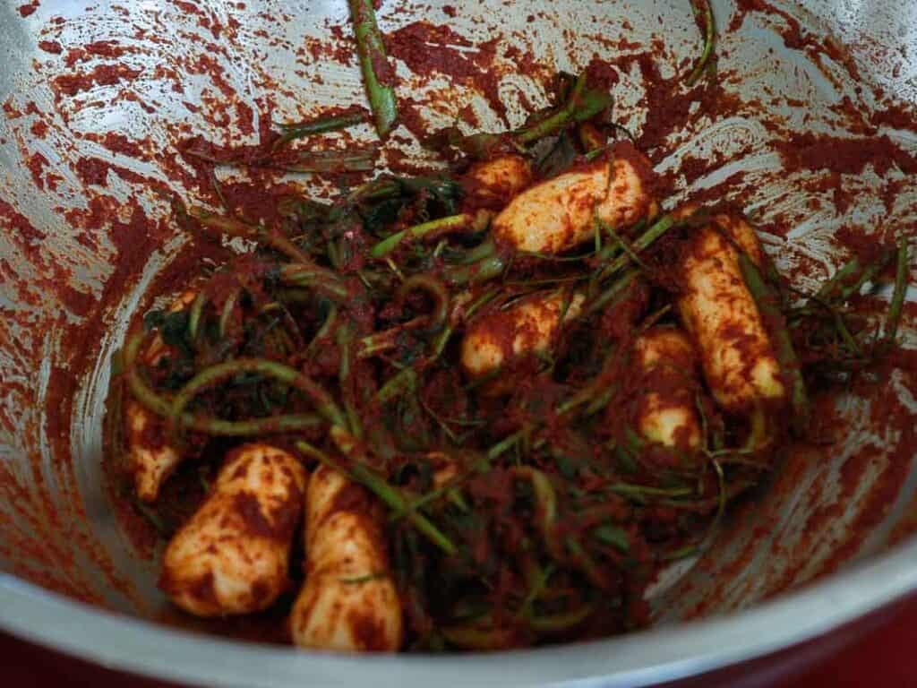 Vegan Ponytail Kimchi aka Chonggak-Kimchi Recipe. 50 Korean baby radishes are coated in a red, spicy seasoning inside a large metal mixing bowl, creating a vibrant dish reminiscent of vegan kimchi.