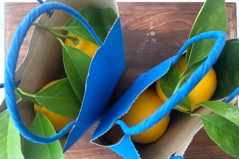 Two blue paper bags filled with yellow lemons and green leaves are placed on a wooden surface, viewed from above, reminiscent of the warm, inviting scenes in Mister Rogers' Neighborhood.