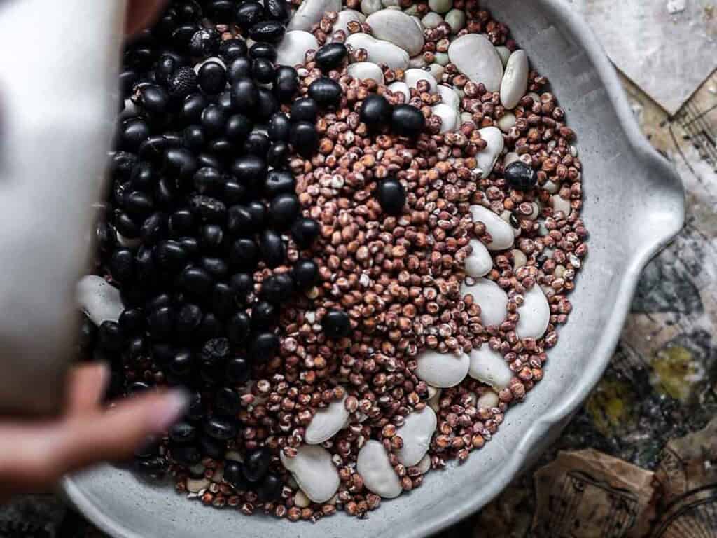 Gut Healthy Korean Multigrain Rice - Japgokbap (잡곡밥) 6 A ceramic bowl filled with a mixture of black beans, white beans, and reddish-brown grains—classic ingredients in gut healthy Korean multigrain rice (Japgokbap)—with a hand pouring in more black beans from the left side.