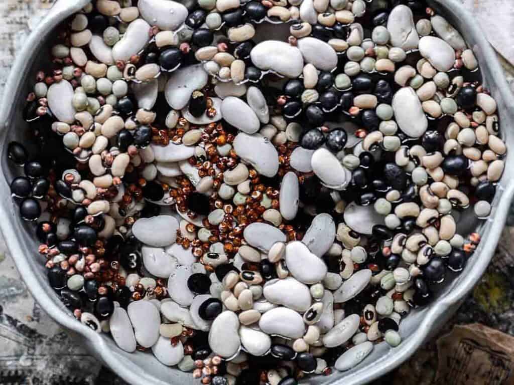 Gut Healthy Korean Multigrain Rice - Japgokbap (잡곡밥) 8 A bowl filled with a colorful mix of dry beans and lentils, including black beans, white beans, and small tan and orange lentils—perfect for making gut healthy Japgokbap, the traditional Korean multigrain rice dish.