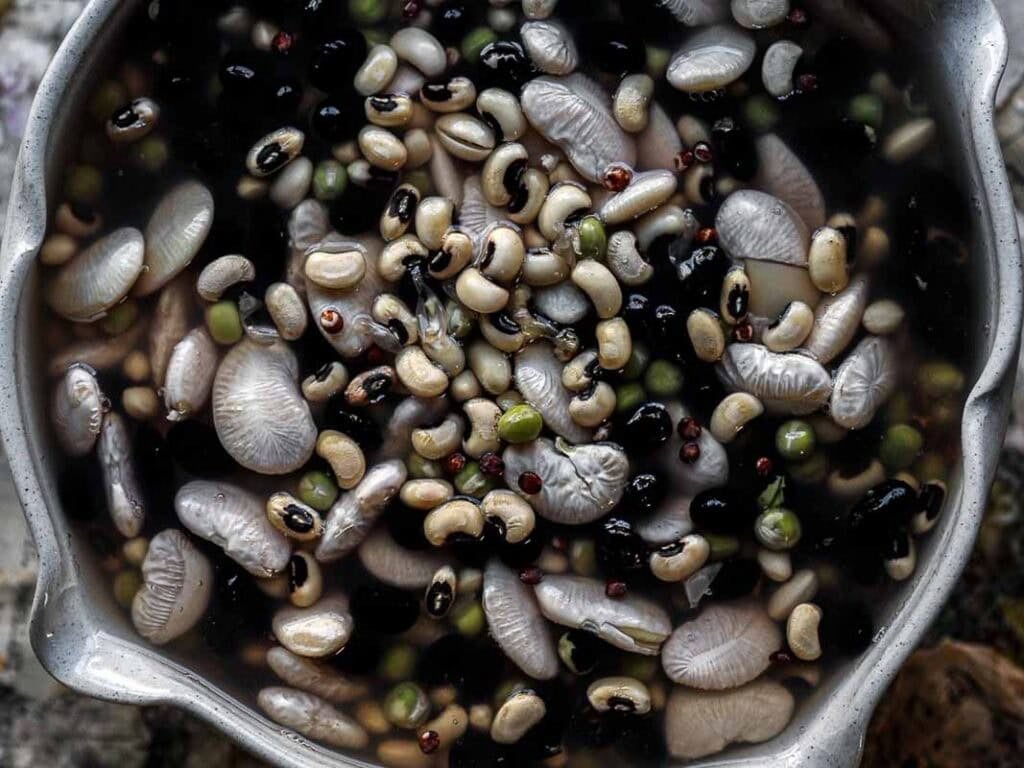 Gut Healthy Korean Multigrain Rice - Japgokbap (잡곡밥) 9 A close-up view of a metal bowl filled with a variety of dried beans and legumes soaking in water, perfect for making gut healthy Korean multigrain rice, or Japgokbap. The beans are black, white, green, and beige in assorted shapes and sizes.