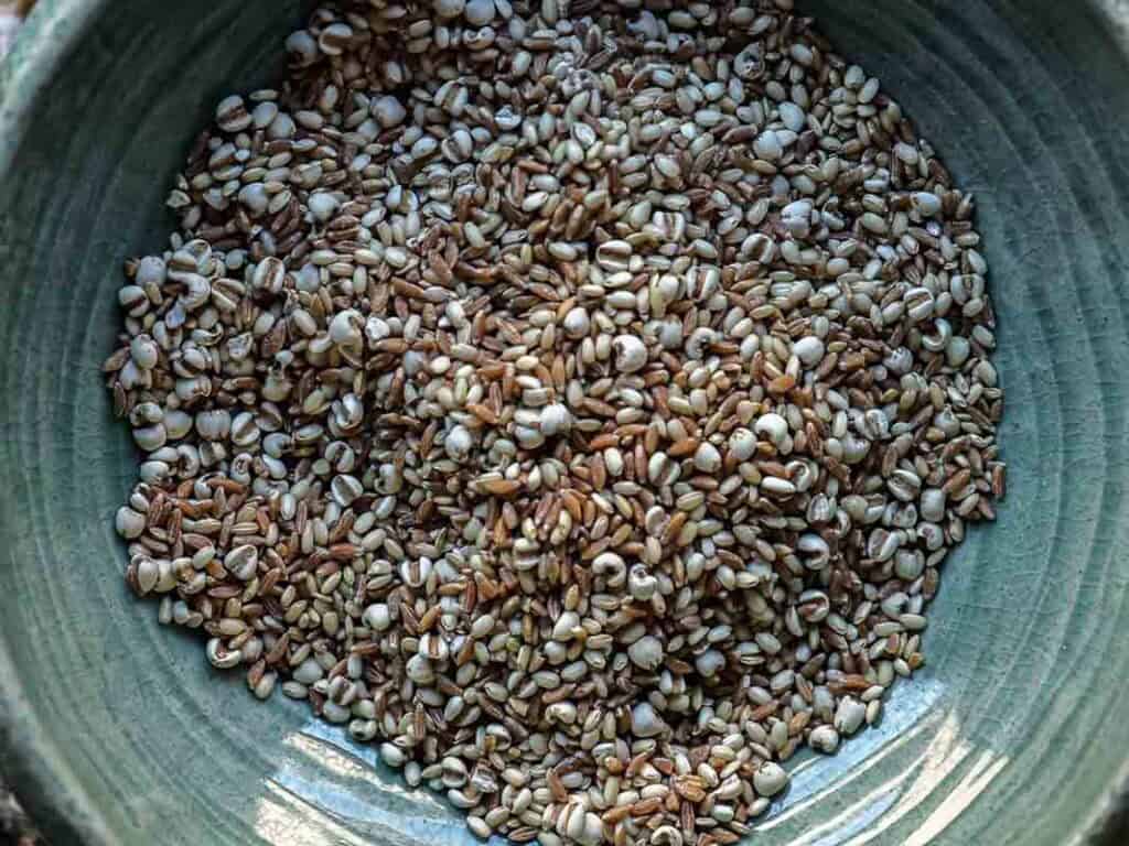 Gut Healthy Korean Multigrain Rice - Japgokbap (잡곡밥) 10 A close-up of a green ceramic bowl filled with gut healthy Korean multigrain rice, or Japgokbap, featuring a colorful mixture of brown and white grains and seeds.