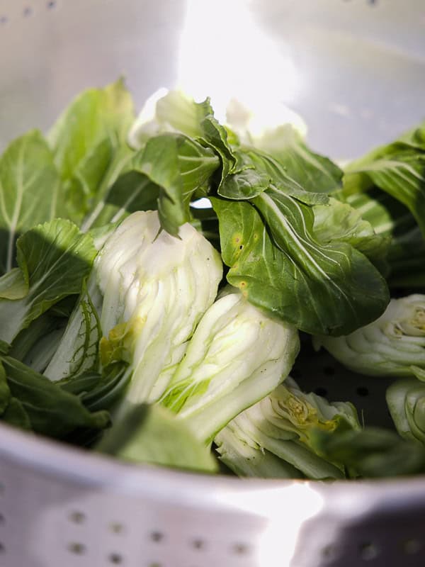 BEST Baby Bok Choy Kimchi Recipe - Easy & Delicious 5 Fresh bok choy halves in a metal colander, with sunlight highlighting the crisp, green leaves and white stems—perfect for preparing flavorful bok choy kimchi.