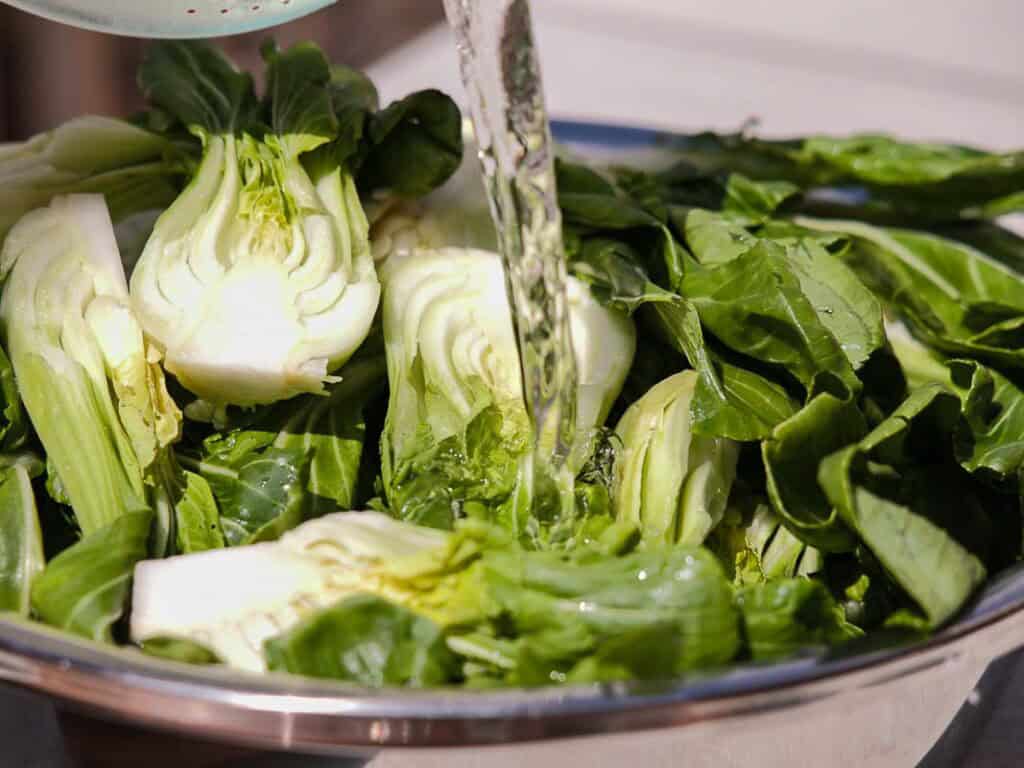 BEST Baby Bok Choy Kimchi Recipe - Easy & Delicious 24 Water being poured over fresh bok choy halves in a metal bowl, washing the leafy green vegetables under sunlight—perfectly preparing them for vibrant homemade bok choy kimchi.