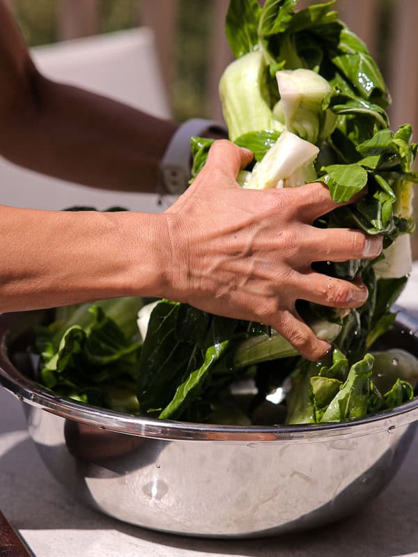 BEST Baby Bok Choy Kimchi Recipe - Easy & Delicious 26 A person’s hands are mixing or washing fresh green bok choy in a large stainless steel bowl, preparing it for bok choy kimchi.