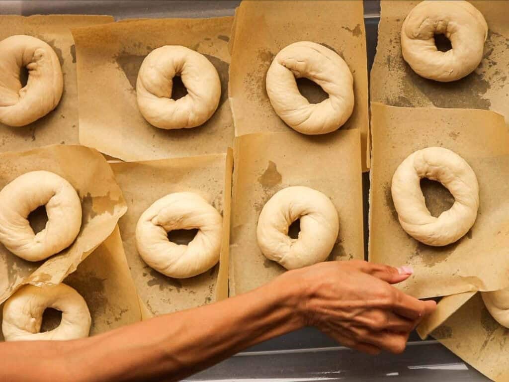 How to Make Delicious NY Style Bagels - Step by Step Guide. 8 A hand arranges raw NY style bagels on parchment-lined baking trays. The dough rings are spaced apart, ready for baking.