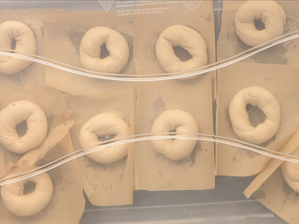 How to Make Delicious NY Style Bagels - Step by Step Guide. 10 Eight unbaked NY style bagels rest on parchment paper lined trays, seen through a foggy plastic cover, ready for baking.